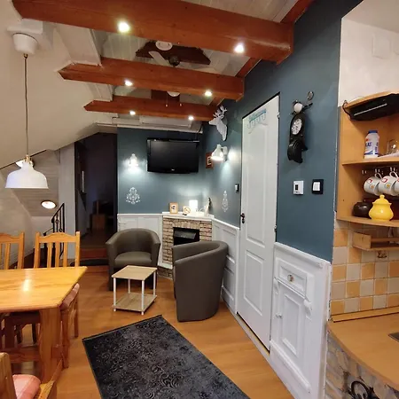 Mendei Vendeghaz Loft 招待所 *